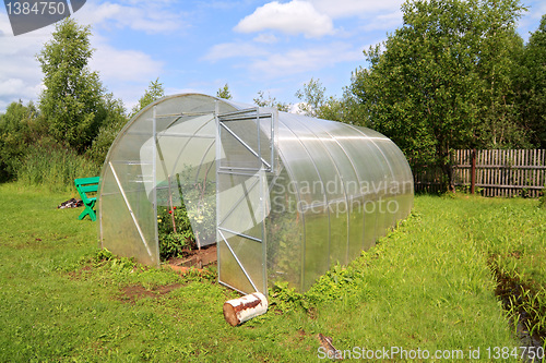 Image of plastic hothouse in summer garden