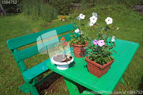 Image of garden furniture in summer garden