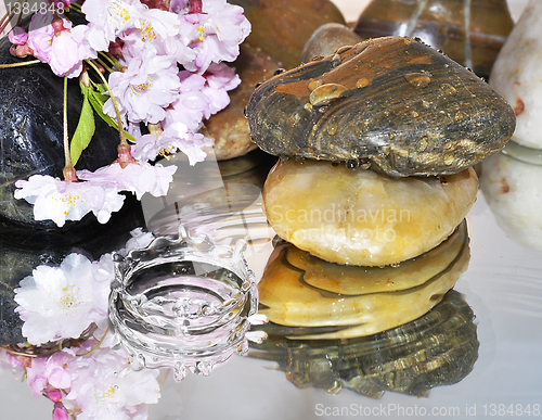 Image of flowers with water