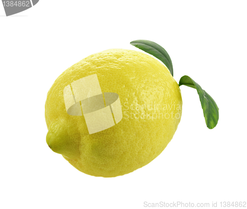 Image of lemon