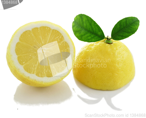 Image of lemon