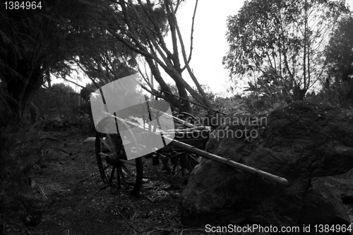 Image of Antique horse carriage