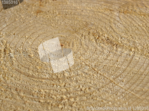 Image of Wood rings