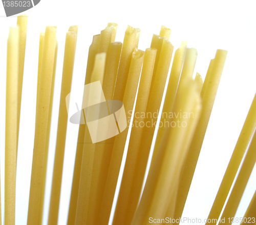 Image of Spaghetti