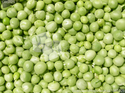Image of Peas picture