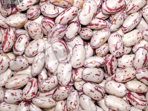 Image of Beans salad