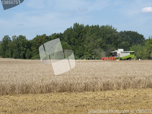 Image of Harvest