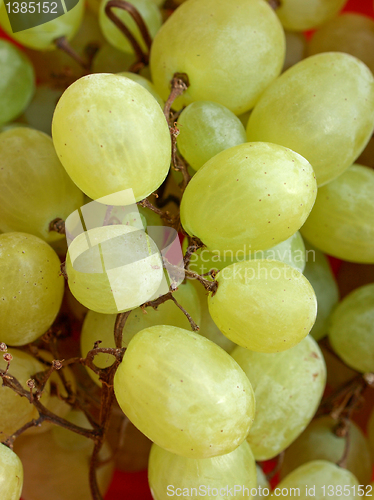 Image of Grape picture