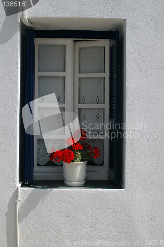 Image of window with geranium