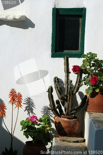 Image of stairs with plants