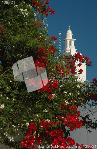 Image of flowering tree and greek church