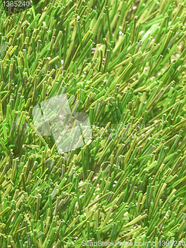 Image of Artificial grass