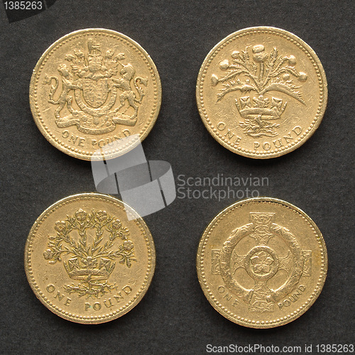 Image of Pounds