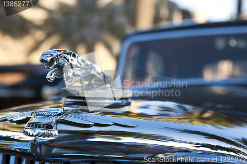 Image of Classic car, Jaguar