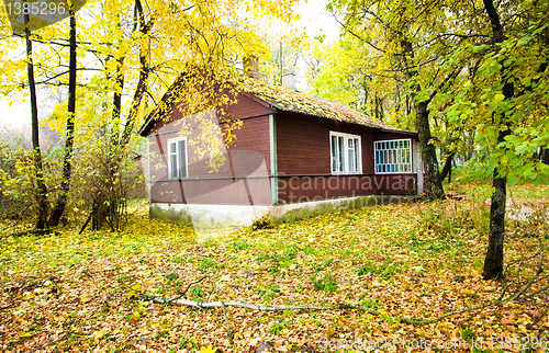 Image of house in wood (autumn)