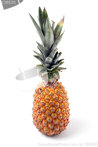 Image of Pineapple isolated against white background