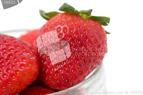 Image of Berries on white