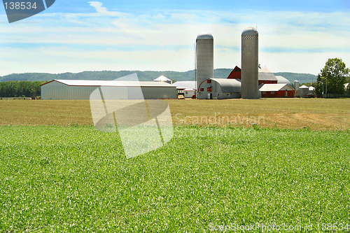 Image of green field and farm