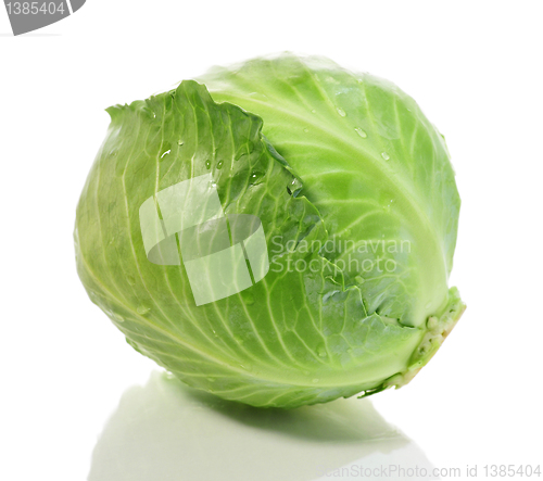 Image of cabbage