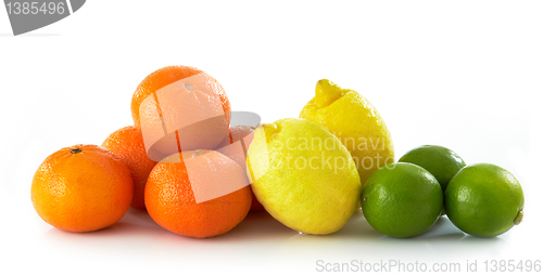 Image of fresh citrus fruits