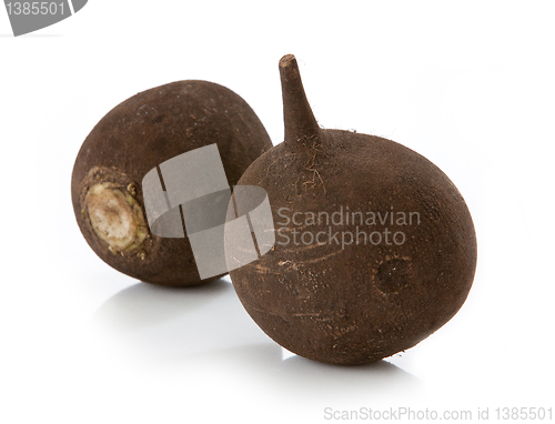 Image of black radish