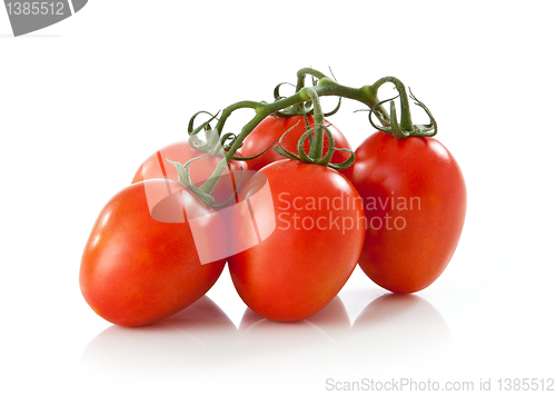 Image of fresh tomato