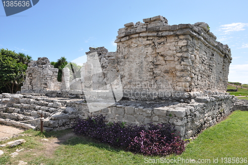 Image of Tulum Mayan Ruins