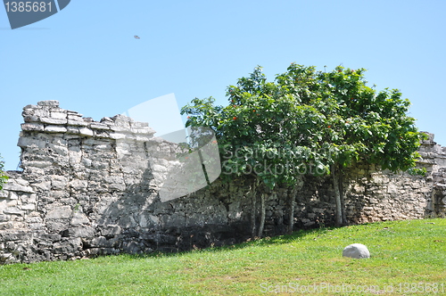 Image of Tulum Mayan Ruins