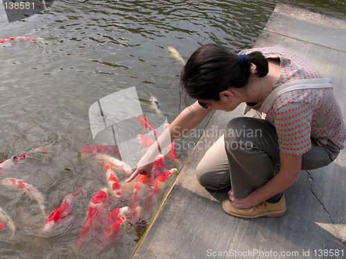 Image of Enjoying the carps