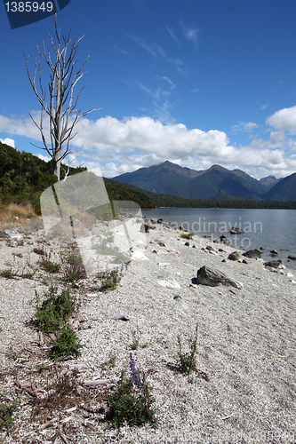 Image of New Zealand