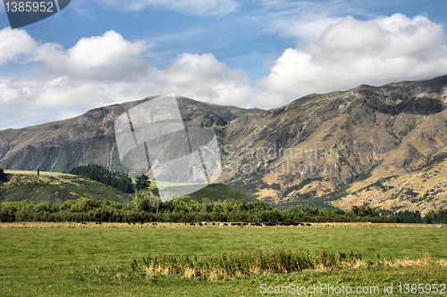 Image of New Zealand