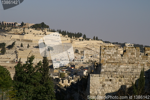 Image of Olive mount in Jerusalem