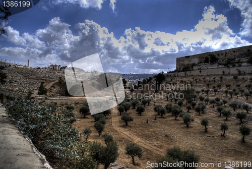 Image of Jerusalem temple mount panorama