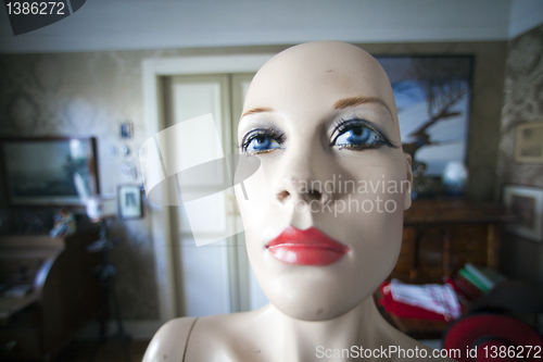 Image of mannequin