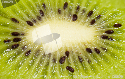 Image of Kiwi background