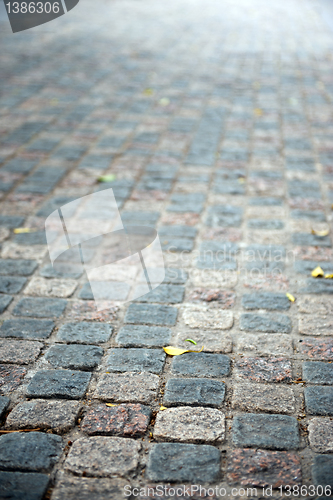 Image of Flag stone path