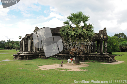 Image of Cambodia - Angkor wat temple