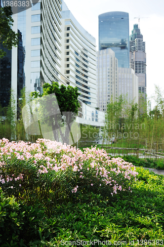 Image of Flowers before modern buildings background