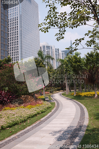 Image of Road in garden