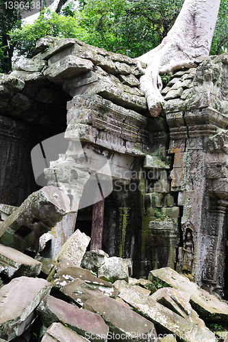 Image of Ta Prohm temple, Angkor, Cambodia