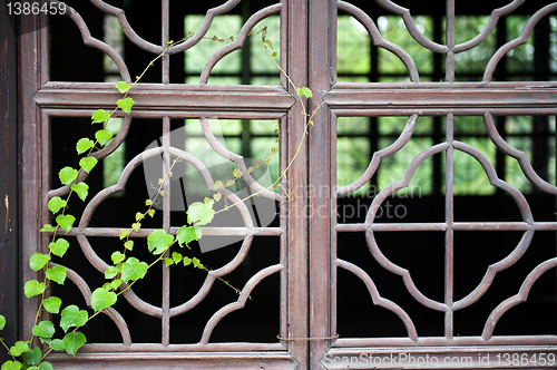 Image of Chinese wooden window with green plant