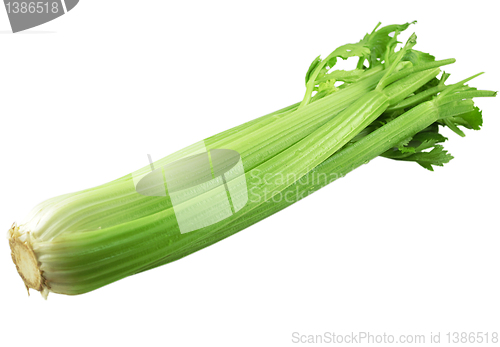 Image of celery