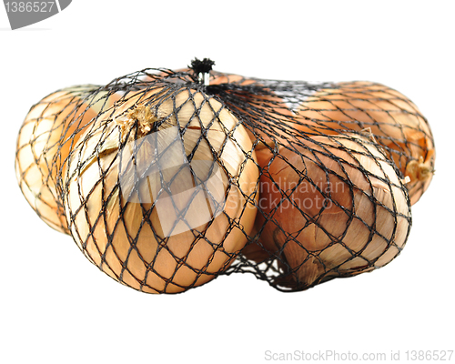Image of onion 