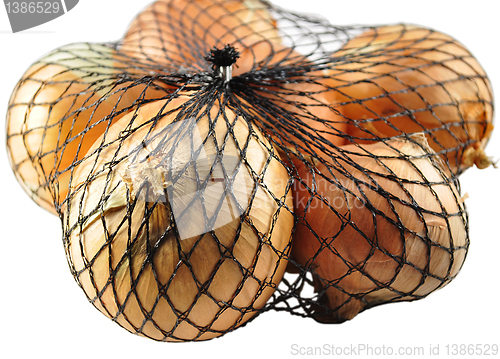 Image of onion