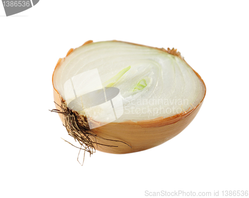 Image of onion
