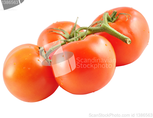 Image of tomatoes