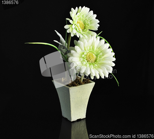 Image of flowers