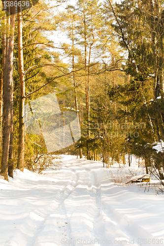 Image of Rural road (winter)