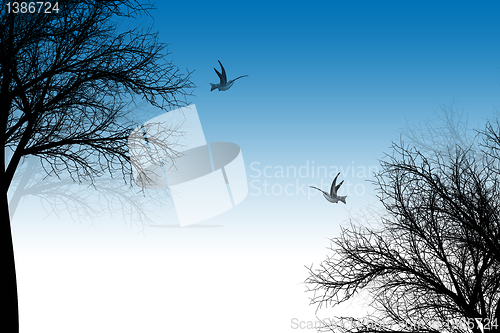 Image of Trees and birds