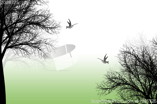 Image of Trees and birds